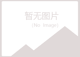 兴山区元霜金属有限公司